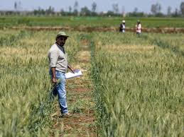 Face aux sécheresses, le Maroc déploie une assurance agricole nouvelle génération